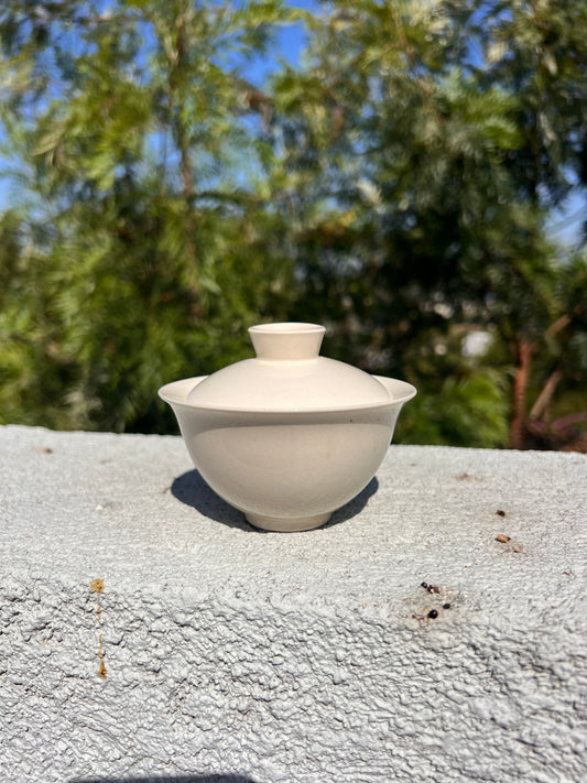 Beginner's Gaiwan Gongfu Teaset