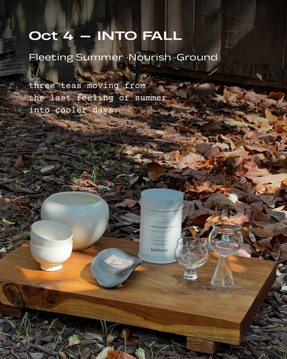 2026 Fall Tea Series