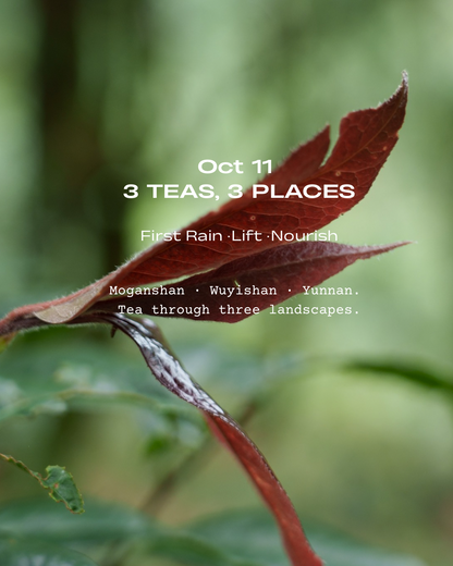 2026 Fall Tea Series